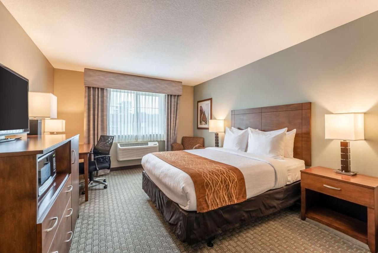 Comfort Inn & Suites Шакопий Екстериор снимка
